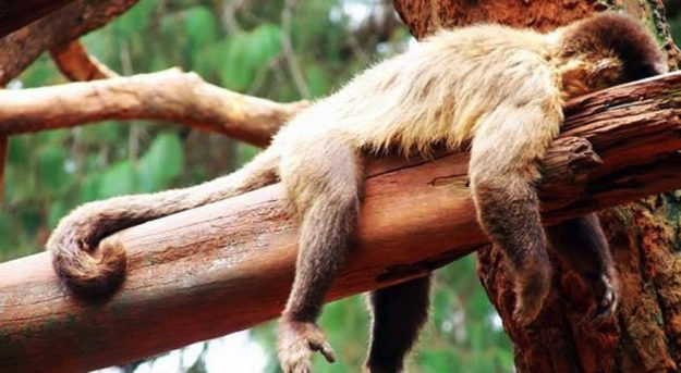 Carey-Lohrenz-7-Tips-to-Boost-Resilience-Leadership-Expert-Keynote-Speaker